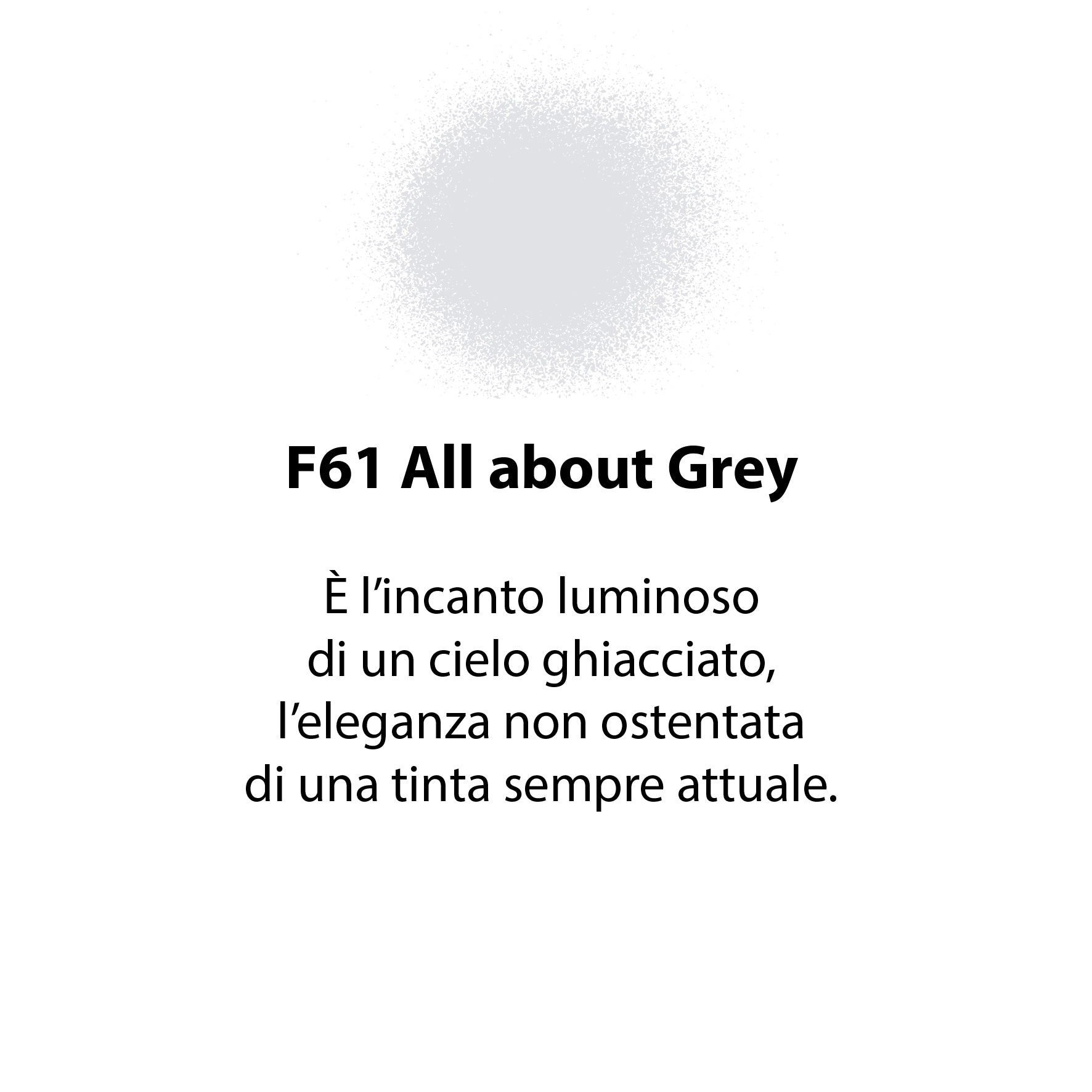 SPRAY FLEUR ALL ABOUT GREY F61 CHALKY LOOK A BASE MINERALE ML.300