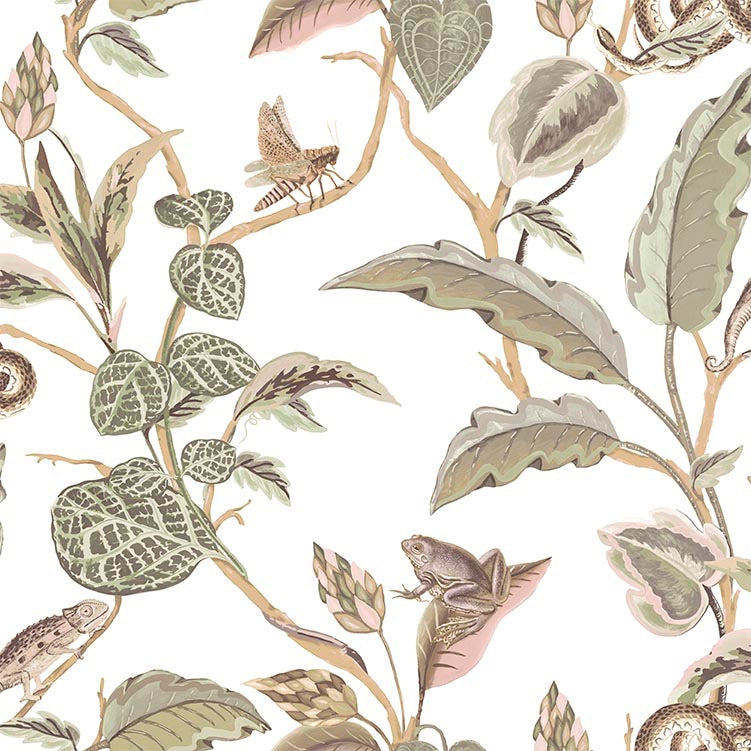 Carta da Parati Botany House Cristiana Masi Wallpaper cod.15507