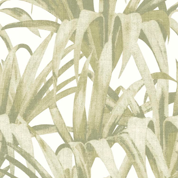 Carta da Parati Botany House Cristiana Masi Wallpaper cod.15525